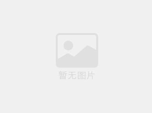 體育球場圍網(wǎng)的價格和選擇需綜合考慮多方面因素，以下是具體分析及建議：